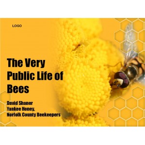 Bee Presentations